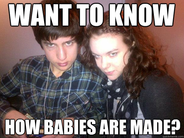 want to know  how babies are made?  Meme