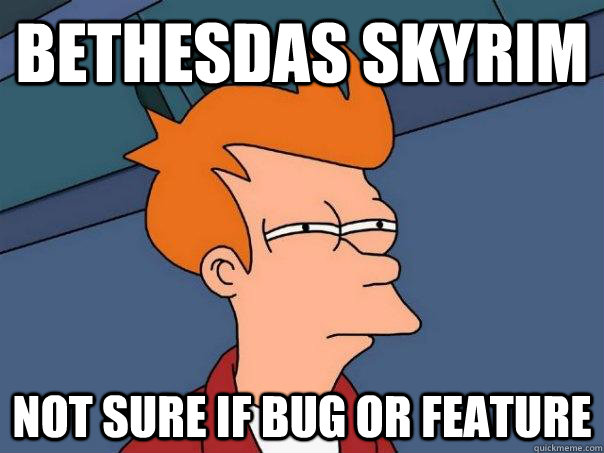 bethesdas Skyrim Not sure if bug or feature - bethesdas Skyrim Not sure if bug or feature  Futurama Fry