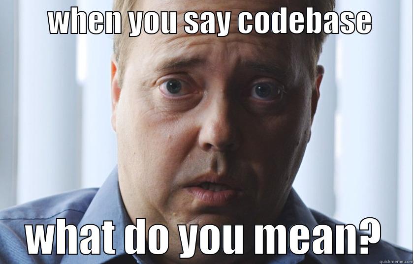         WHEN YOU SAY CODEBASE            WHAT DO YOU MEAN?    Misc