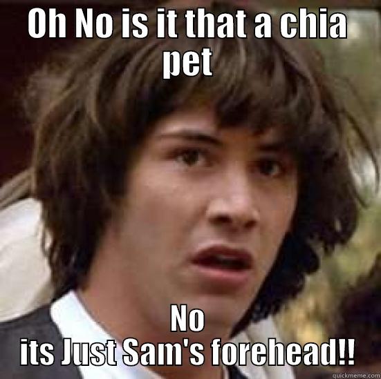 Old man Sam - OH NO IS IT THAT A CHIA PET NO ITS JUST SAM'S FOREHEAD!! conspiracy keanu