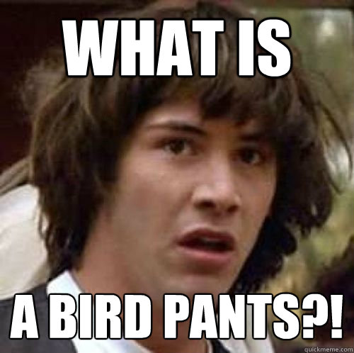 What is A bird pants?! - What is A bird pants?!  conspiracy keanu