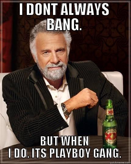 I DONT ALWAYS BANG. BUT WHEN I DO. ITS PLAYBOY GANG. The Most Interesting Man In The World