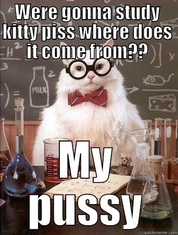 WERE GONNA STUDY KITTY PISS WHERE DOES IT COME FROM?? MY PUSSY Chemistry Cat