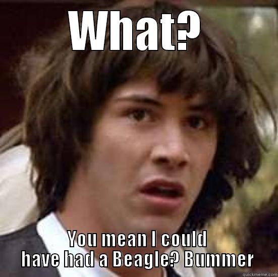 WHAT? YOU MEAN I COULD HAVE HAD A BEAGLE? BUMMER conspiracy keanu