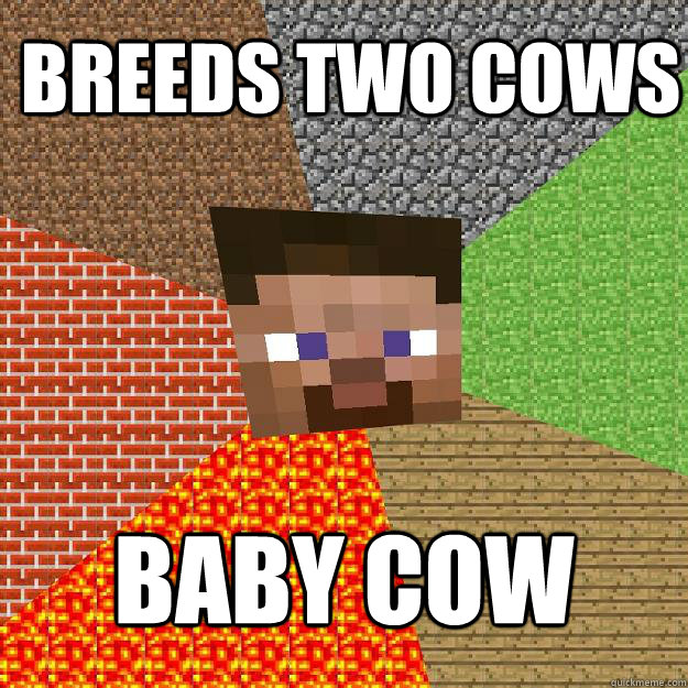 breeds two cows baby cow  Minecraft