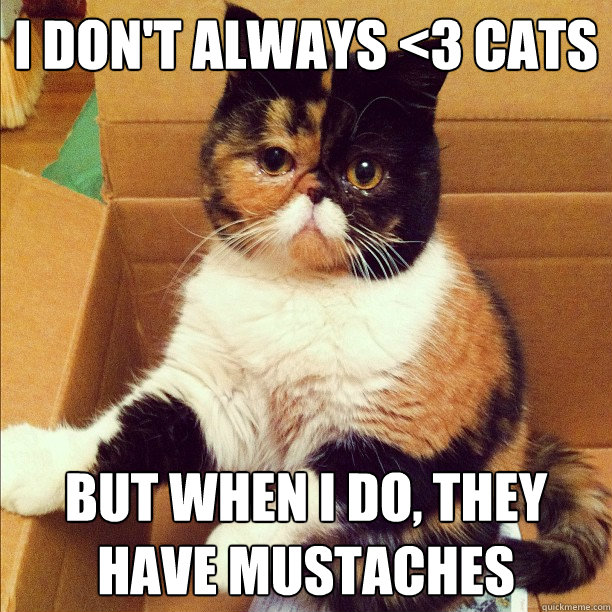 I don't always <3 cats But when i do, they have mustaches  mustache cat