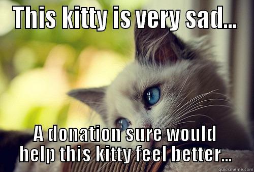 THIS KITTY IS VERY SAD... A DONATION SURE WOULD HELP THIS KITTY FEEL BETTER... First World Problems Cat