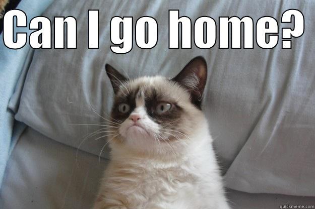 CAN I GO HOME?   Grumpy Cat