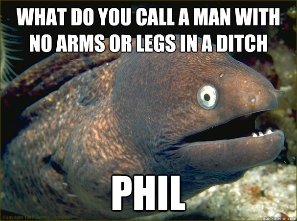 what do you call a man with no arms or legs in a ditch phil  Bad Joke Eel