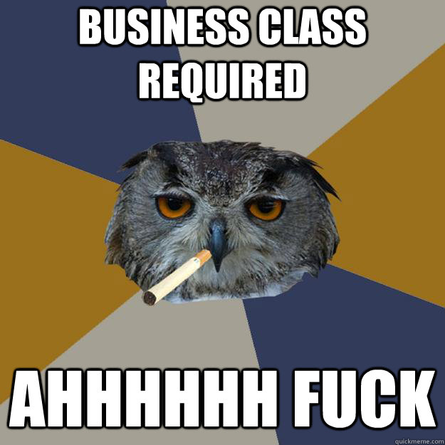 Business class required Ahhhhhh fuck  Art Student Owl