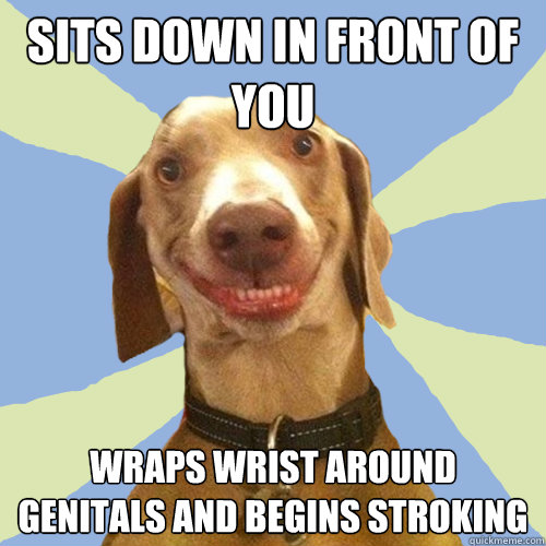 Sits down in front of you Wraps wrist around genitals and begins stroking  Disgusting Doggy