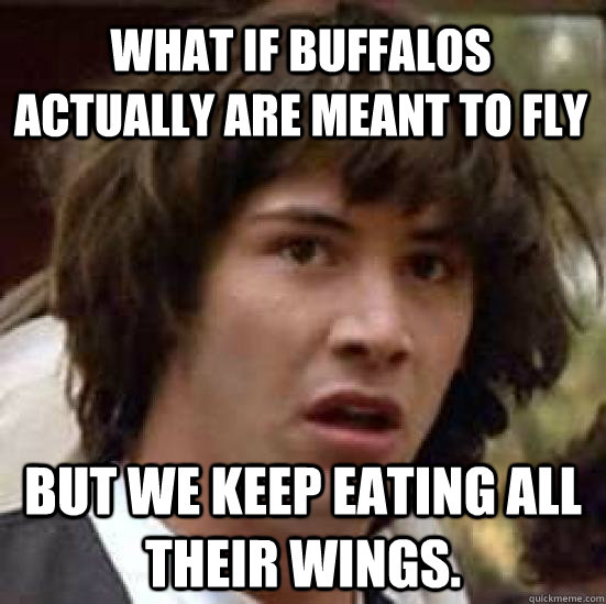 What if Buffalos actually are meant to fly But we keep eating all their wings. - What if Buffalos actually are meant to fly But we keep eating all their wings.  conspiracy keanu