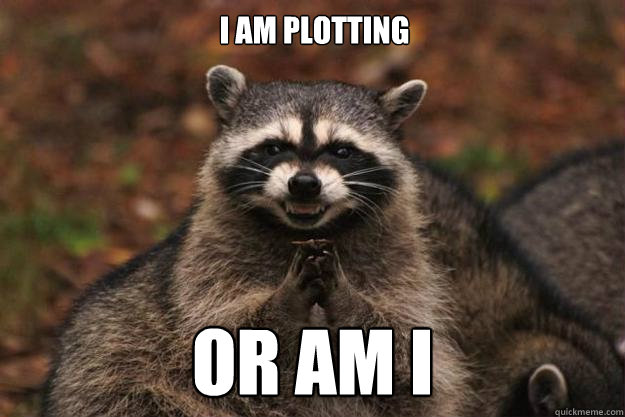 I am plotting or am i - I am plotting or am i  Evil Plotting Raccoon