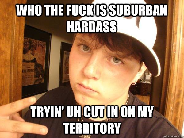 who the fuck is suburban hardass tryin' uh cut in on my territory - who the fuck is suburban hardass tryin' uh cut in on my territory  Suburban Gangster