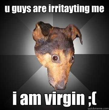 u guys are irritayting me i am virgin ;(  Depression Dog