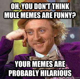 Oh, you don't think Mule Memes are funny? your memes are probably hilarious  Condescending Wonka