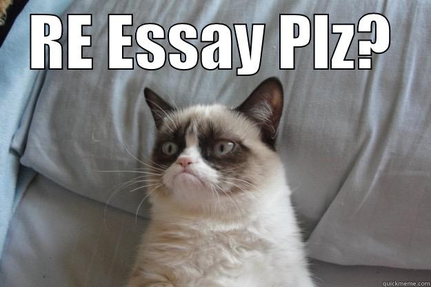 Essay Plz? - RE ESSAY PLZ?  Grumpy Cat