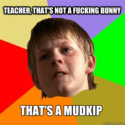 Teacher, that's not a fucking bunny THAT'S a mudkip  Angry School Boy