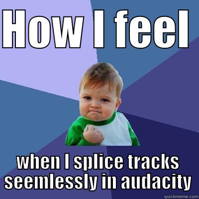 Skills validated  - HOW I FEEL  WHEN I SPLICE TRACKS SEEMLESSLY IN AUDACITY Success Kid