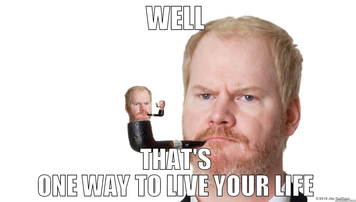 Jim Gaffigan Well Then - WELL THAT'S ONE WAY TO LIVE YOUR LIFE Misc