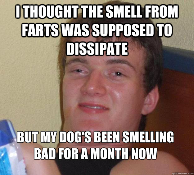 I thought the smell from farts was supposed to dissipate 
But my dog's been smelling bad for a month now  10 Guy