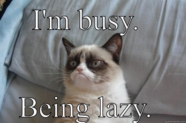 I'M BUSY.  BEING LAZY.  Grumpy Cat