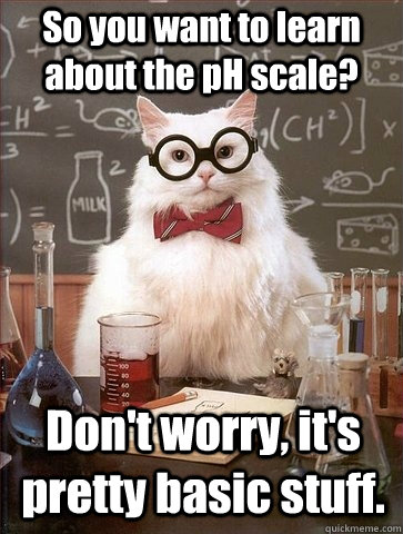 So you want to learn about the pH scale? Don't worry, it's pretty basic stuff.  Chemistry Cat