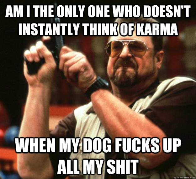 am i the only one who doesn't instantly think of karma when my dog fucks up all my shit  Angry Walter