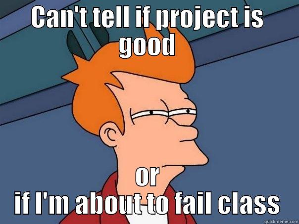 CAN'T TELL IF PROJECT IS GOOD OR IF I'M ABOUT TO FAIL CLASS Futurama Fry