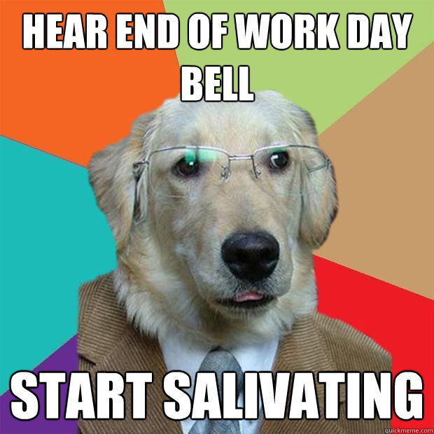 Hear end of work day bell start salivating  Business Dog