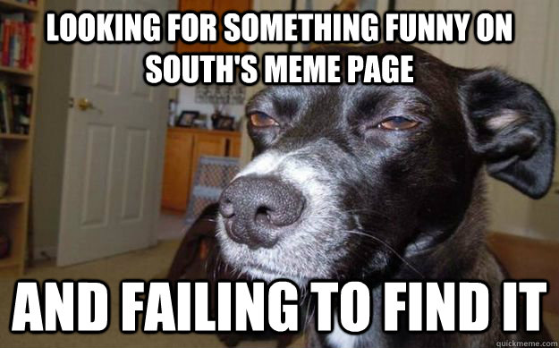 Looking for something funny on south's meme page and failing to find it - Looking for something funny on south's meme page and failing to find it  Skeptical Mutt