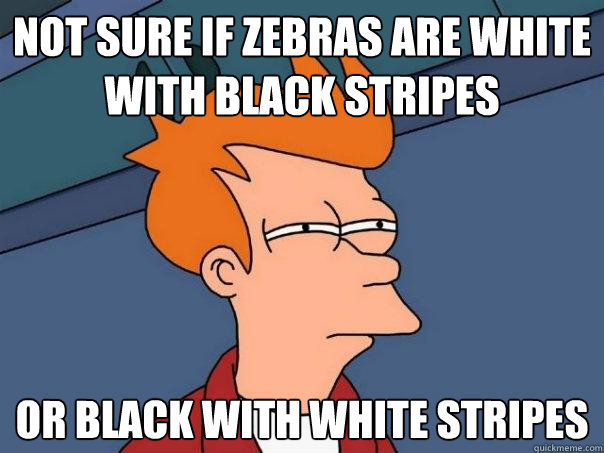 not sure if zebras are white with black stripes or black with white stripes  Futurama Fry