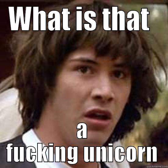 WHAT IS THAT  A FUCKING UNICORN conspiracy keanu