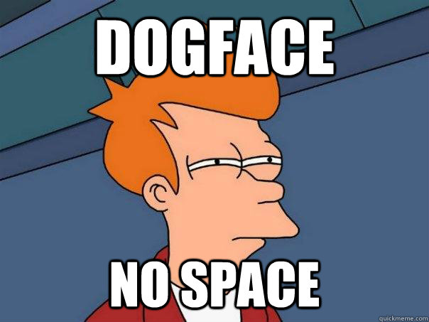 Dogface No space  Futurama Fry