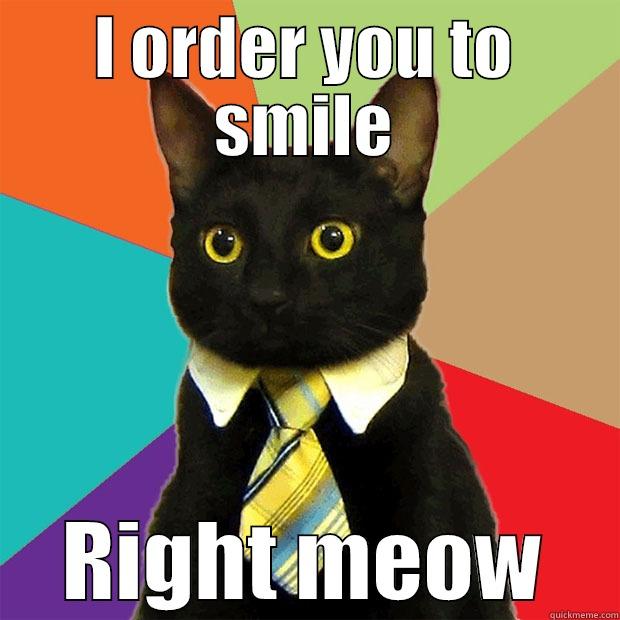 I ORDER YOU TO SMILE RIGHT MEOW Business Cat