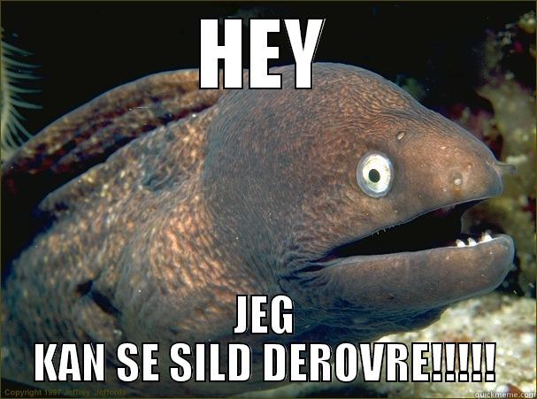 HEY JEG KAN SE SILD DEROVRE!!!!! Bad Joke Eel