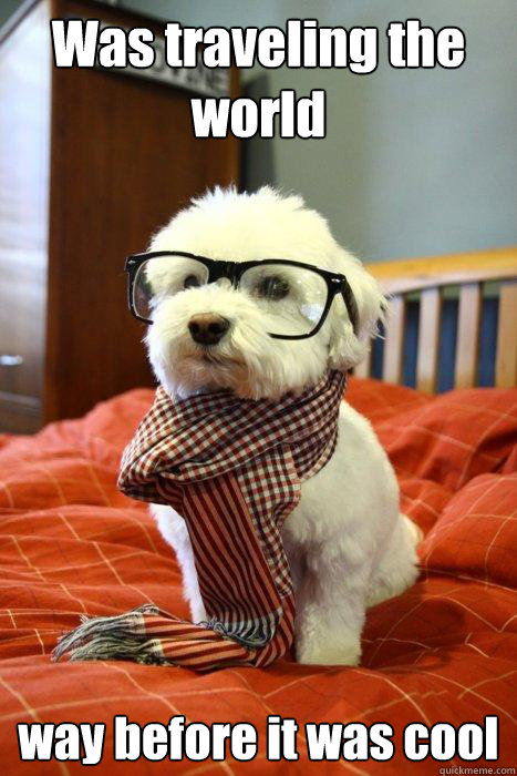 Was traveling the world  way before it was cool  Hipster Dog