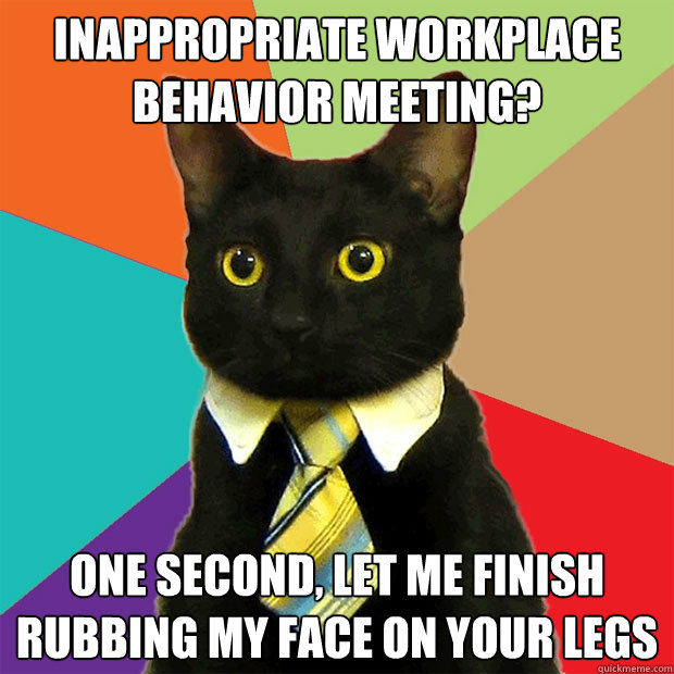 inappropriate workplace behavior meeting? one second, let me finish rubbing my face on your legs  Business Cat