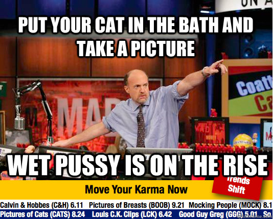 put your cat in the bath and take a picture Wet pussy is on the rise  Mad Karma with Jim Cramer