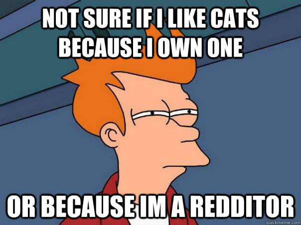 Not sure if i like cats because i own one or because im a redditor  Futurama Fry