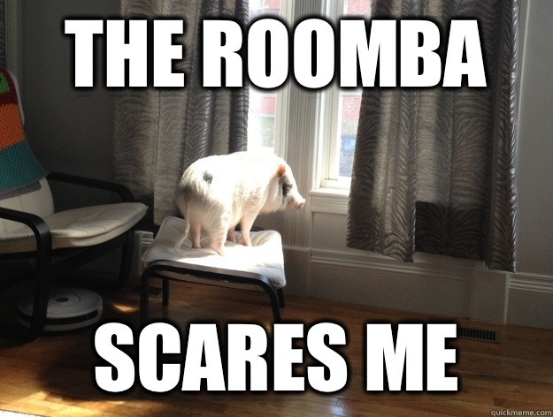 The Roomba Scares me  Regret Pig