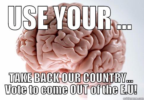 USE YOUR ... TAKE BACK OUR COUNTRY... VOTE TO COME OUT OF THE E.U! Scumbag Brain