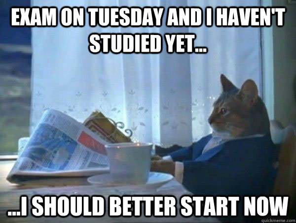 Exam on Tuesday and I haven't studied yet... ...I should better start now  morning realization newspaper cat meme