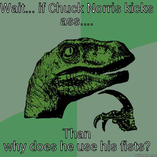 Philosoraptor guy - WAIT... IF CHUCK NORRIS KICKS ASS.... THAN WHY DOES HE USE HIS FISTS? Philosoraptor