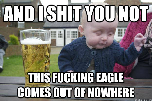 And I shit you not This fucking eagle comes out of nowhere  drunk baby