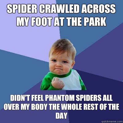 Spider crawled across my foot at the park Didn't feel phantom spiders all over my body the whole rest of the day  Success Kid