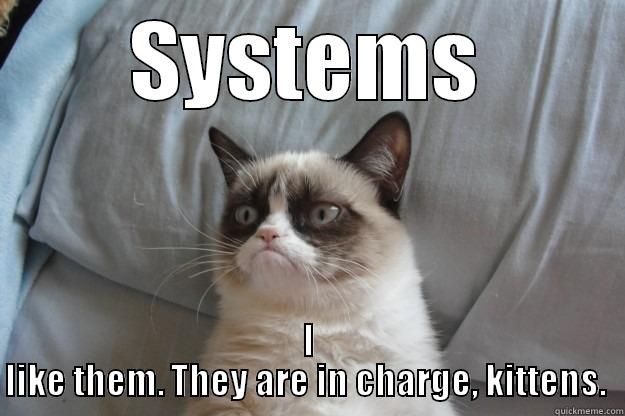 SYSTEMS I LIKE THEM. THEY ARE IN CHARGE, KITTENS.  Grumpy Cat