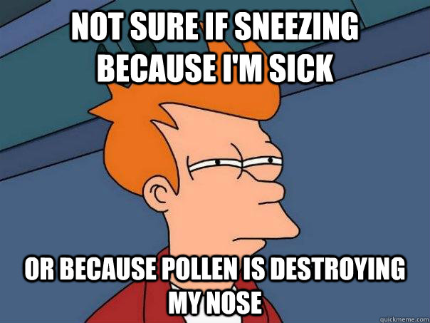 not sure if sneezing because i'm sick or because pollen is destroying my nose  Futurama Fry