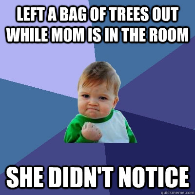 Left a bag of trees out while mom is in the room she didn't notice  Success Kid