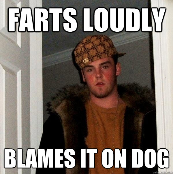 FARTS LOUDLY BLAMES IT ON DOG  Scumbag Steve